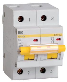 Автоматический выключатель IEK ВА47-100 2P D 40A