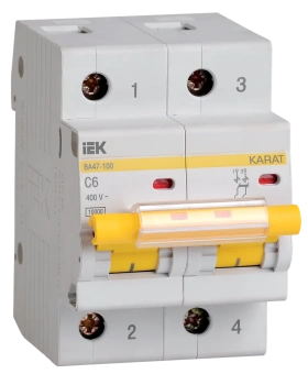 Автоматический выключатель IEK ВА47-100 2P
